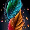 青草视频